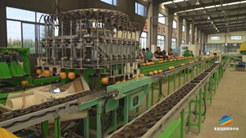 Esimene puuviljade standardimise päritoluteenuse foorum